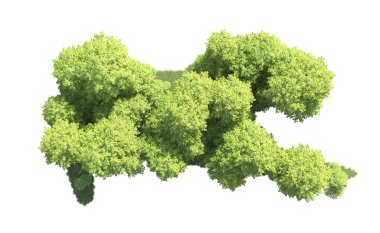 Beyaz zemin üzerine yeşil ağaçlar kadar kapatın