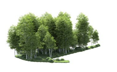 Beyaz zemin üzerine yeşil ağaçlar kadar kapatın