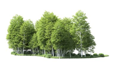 Beyaz zemin üzerine yeşil ağaçlar kadar kapatın