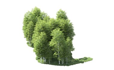 Beyaz zemin üzerine yeşil ağaçlar kadar kapatın