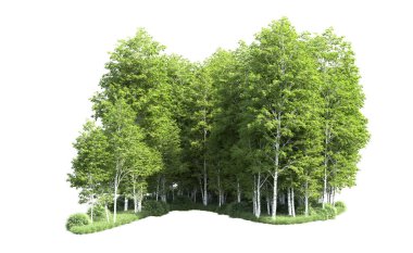 Beyaz zemin üzerine yeşil ağaçlar kadar kapatın