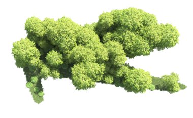 Beyaz zemin üzerine yeşil ağaçlar kadar kapatın