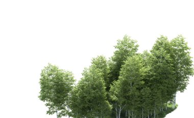 Beyaz zemin üzerine yeşil ağaçlar kadar kapatın