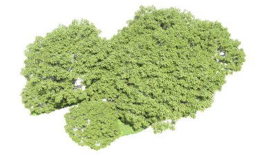 Beyaz zemin üzerine yeşil ağaçlar kadar kapatın