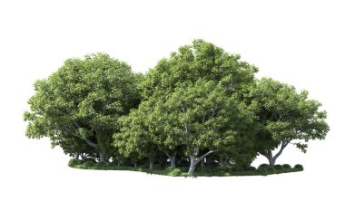 Beyaz arka plan üzerinde izole ağaçlar grubu