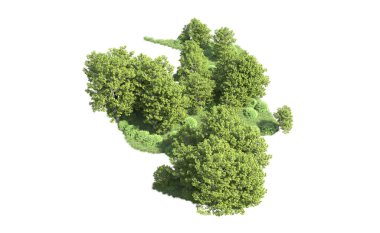 Beyaz arka plan üzerinde izole ağaçlar grubu