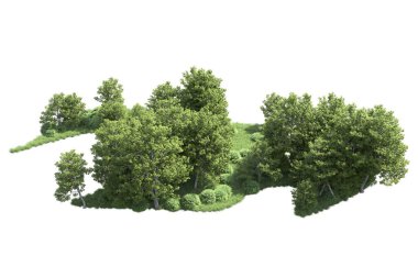 Beyaz arka plan üzerinde izole ağaçlar grubu