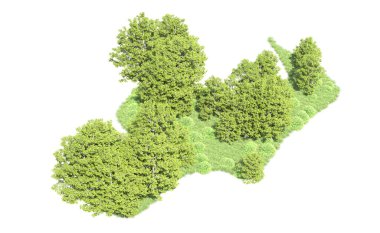 Beyaz arka plan üzerinde izole ağaçlar grubu