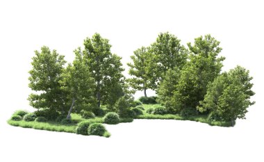 Beyaz arka plan üzerinde izole ağaçlar grubu