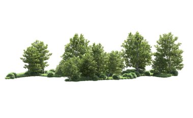 Beyaz arka plan üzerinde izole ağaçlar grubu