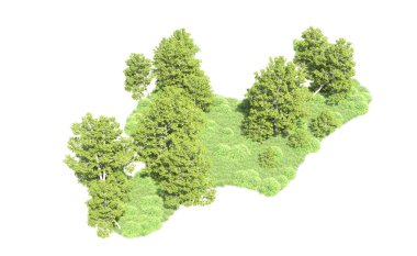 Beyaz arka plan üzerinde izole ağaçlar grubu