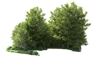 Beyaz arka plan üzerinde izole ağaçlar grubu