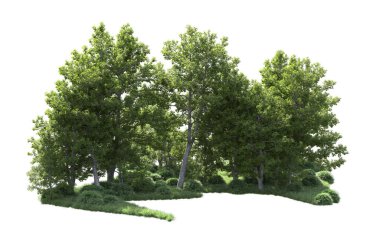 Beyaz arka plan üzerinde izole ağaçlar grubu