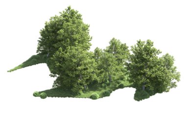 Beyaz arka plan üzerinde izole ağaçlar grubu