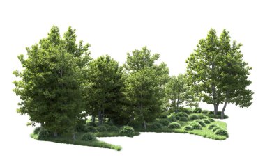 Beyaz arka plan üzerinde izole ağaçlar grubu