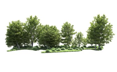 Beyaz arka plan üzerinde izole ağaçlar grubu