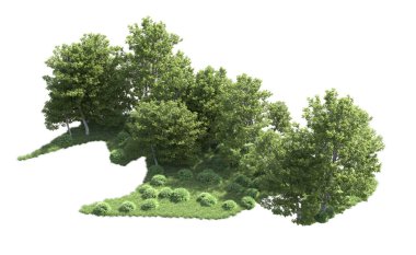 Beyaz arka plan üzerinde izole ağaçlar grubu