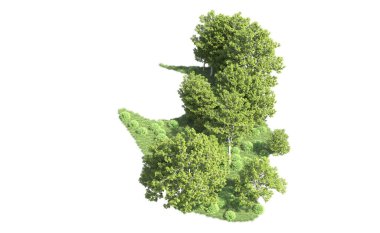 Beyaz arka plan üzerinde izole ağaçlar grubu