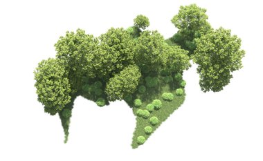 Beyaz arka plan üzerinde izole ağaçlar grubu