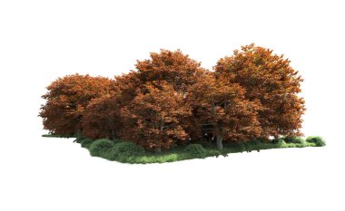 Beyaz arka plan üzerinde izole ağaçlar grubu