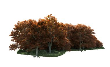 Beyaz arka plan üzerinde izole ağaçlar grubu