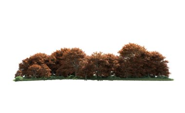 Beyaz arka plan üzerinde izole ağaçlar grubu