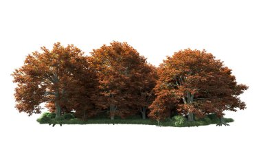 Beyaz arka plan üzerinde izole ağaçlar grubu