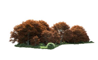 Beyaz arka plan üzerinde izole ağaçlar grubu