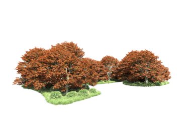 Beyaz arka plan üzerinde izole ağaçlar grubu