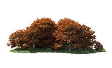 Beyaz arka plan üzerinde izole ağaçlar grubu