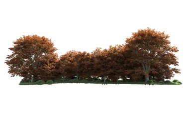 Beyaz arka plan üzerinde izole ağaçlar grubu