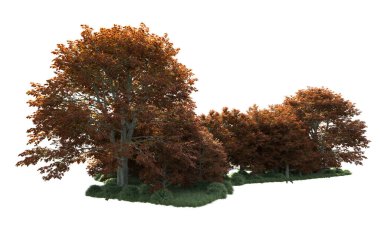 Beyaz arka plan üzerinde izole ağaçlar grubu