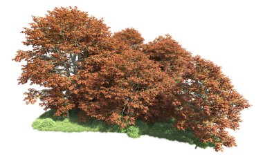 Beyaz arka plan üzerinde izole ağaçlar grubu