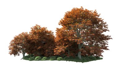 Beyaz arka plan üzerinde izole ağaçlar grubu