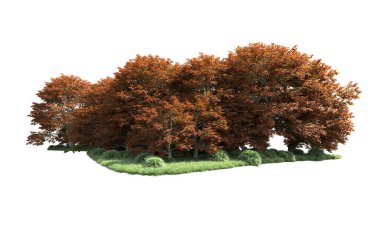 Beyaz arka plan üzerinde izole ağaçlar grubu
