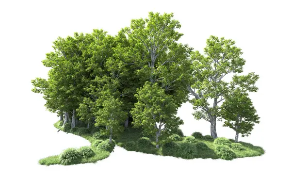 Beyaz arkaplanda bir grup ağaç