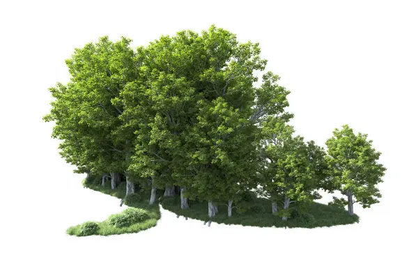 Beyaz arkaplanda bir grup ağaç