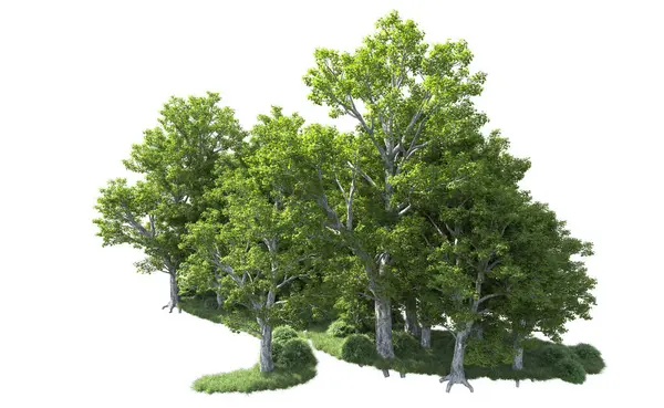 Beyaz arkaplandaki ağaçları kapat