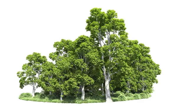 Beyaz arkaplandaki ağaçları kapat