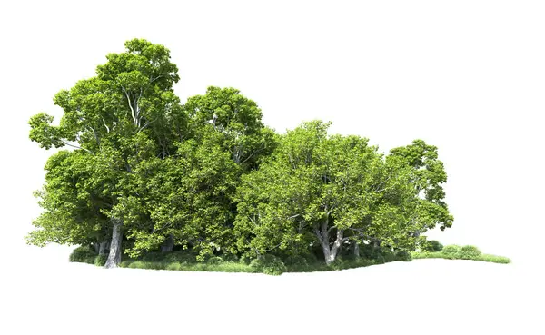 Beyaz arkaplandaki ağaçları kapat