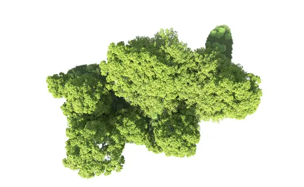 Beyaz arkaplandaki ağaçları kapat