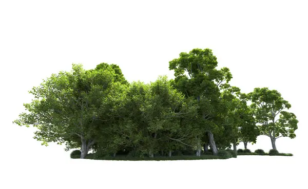 Beyaz arkaplandaki ağaçları kapat