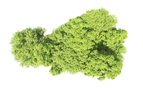 Beyaz arkaplandaki ağaçları kapat