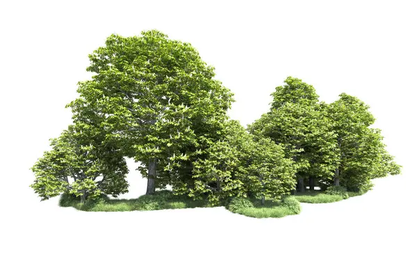 Beyaz arkaplandaki ağaçları kapat