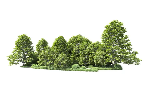 Beyaz arkaplandaki ağaçları kapat