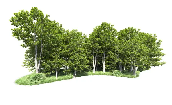 Beyaz arkaplandaki ağaçları kapat