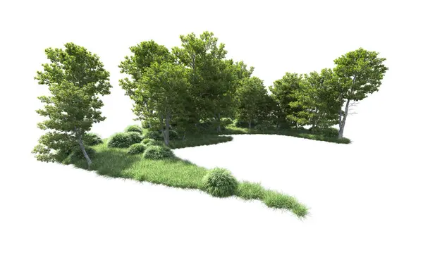 Beyaz arkaplandaki ağaçları kapat