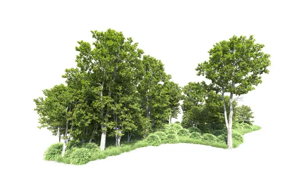 Beyaz arkaplanı olan bir grup ağaç 