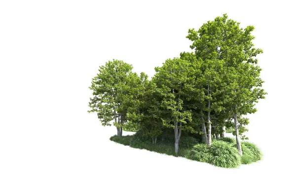 Beyaz arkaplanı olan bir grup ağaç 
