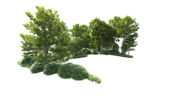 Beyaz arkaplanı olan bir grup ağaç 